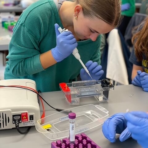 A student pipetting into a gel electrophoresis box.