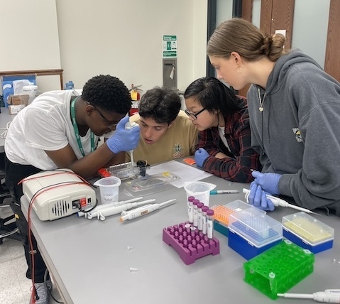 A group of students gathered around a gel electrophoresis box.