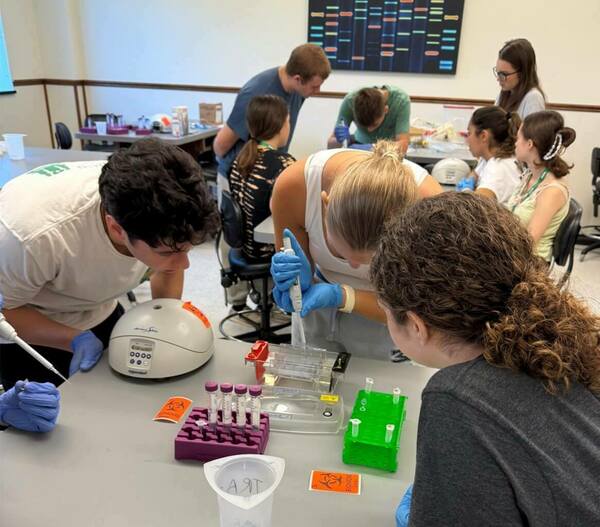 Students loading a gel
